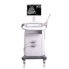 MY-A019 Hospital Clinic Standard Trolley Ultrasound Scanner with convex probe