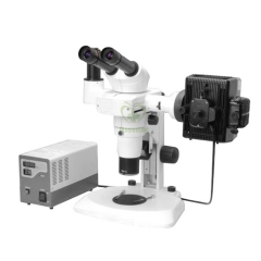 MY-B129G-8 Fluorescent Stereo Microscope